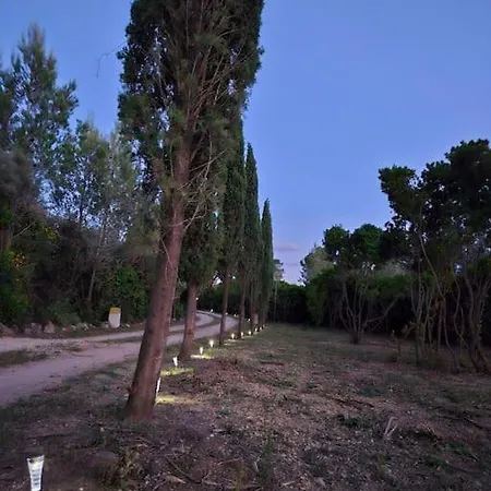 Semesterbostad Le Mazet De Papi En Garrigue Saint-Gervasy