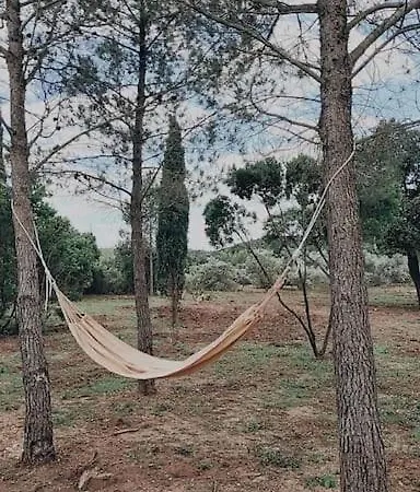 Le Mazet De Papi En Garrigue