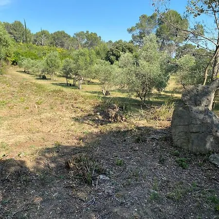 Le Mazet De Papi En Garrigue Saint-Gervasy