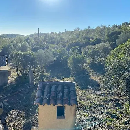 Le Mazet De Papi En Garrigue * Saint-Gervasy