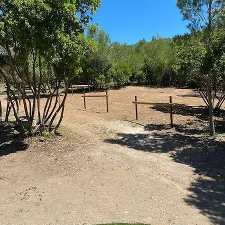 Le Mazet De Papi En Garrigue *
